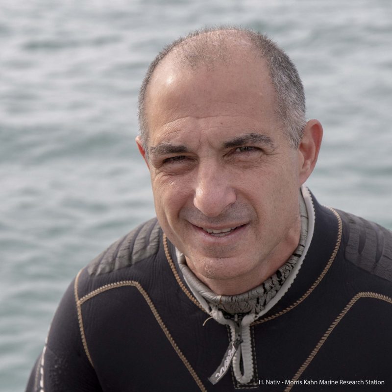 Prof. Dani Tchernov