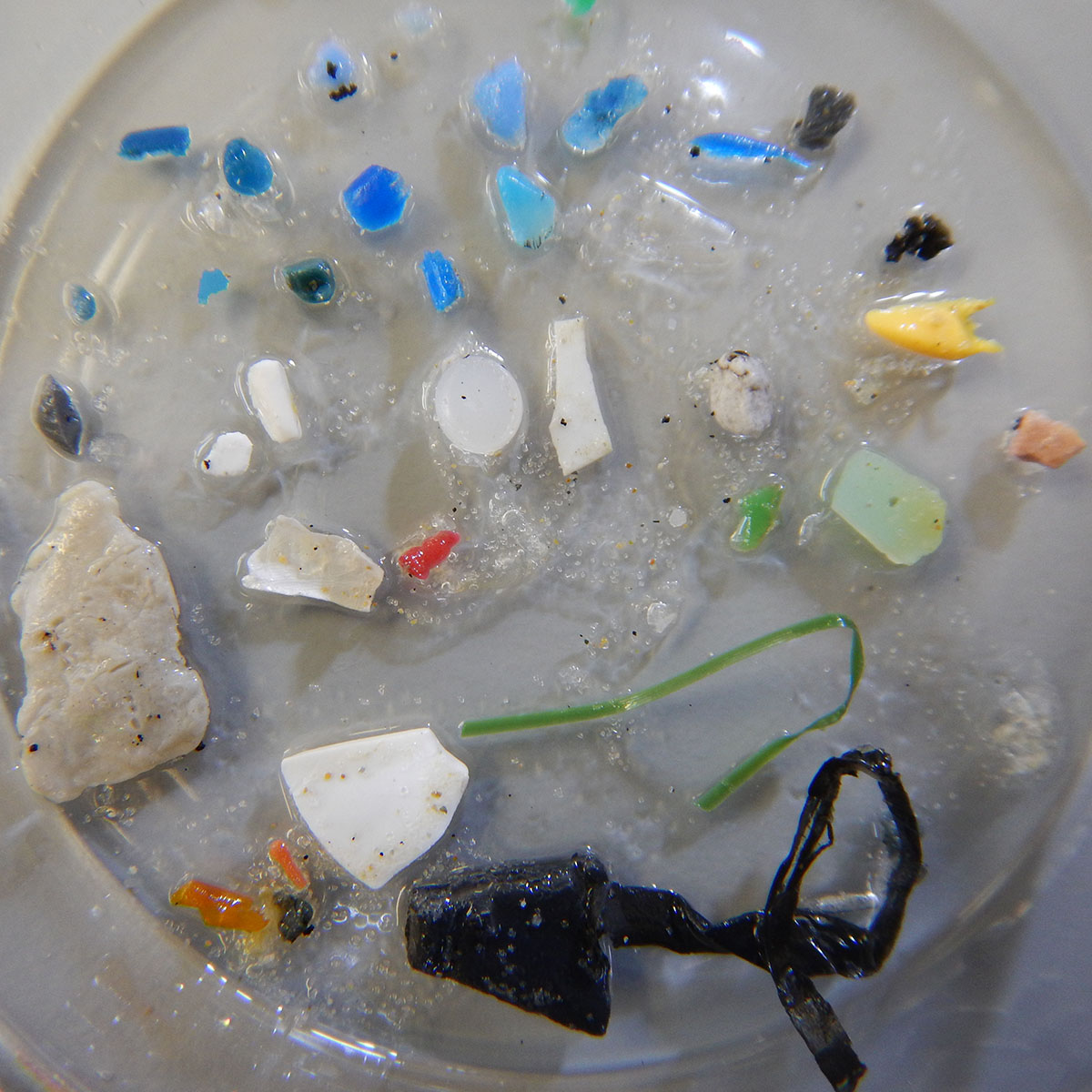 microplastic