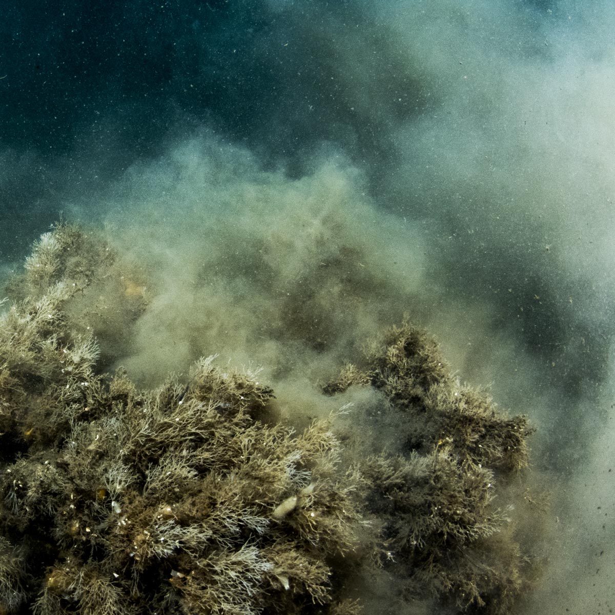 Sediment on  the Mediterranean Sea floor