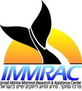 immrac