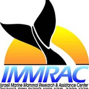IMMRAC