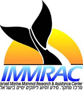 immrac