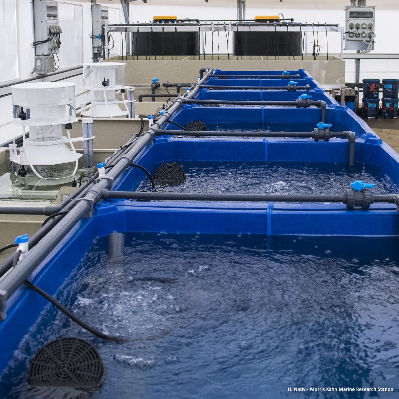 Cont. water system
