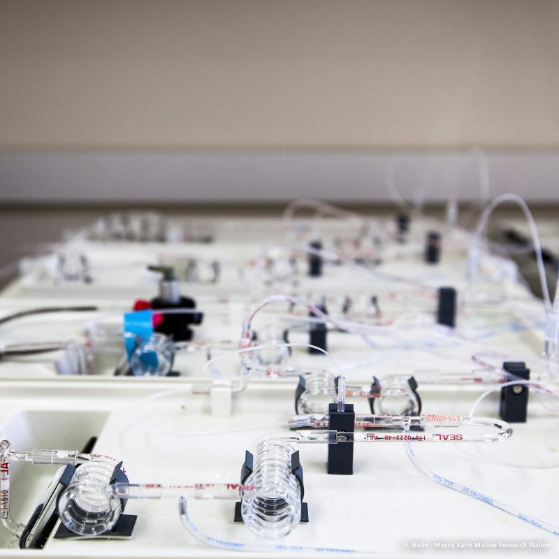 SEAL-AA3 Autoanalyzer