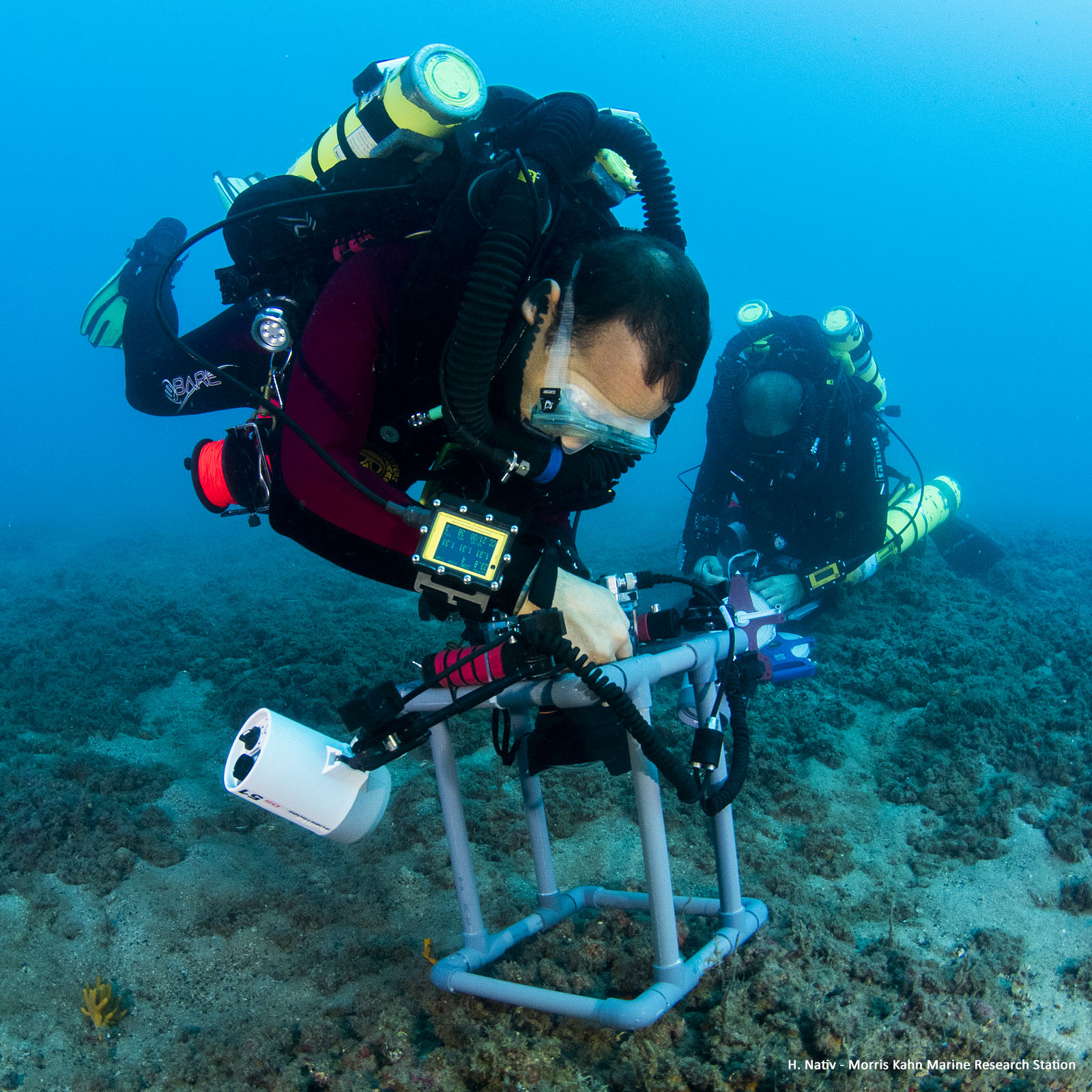 Underwater photography