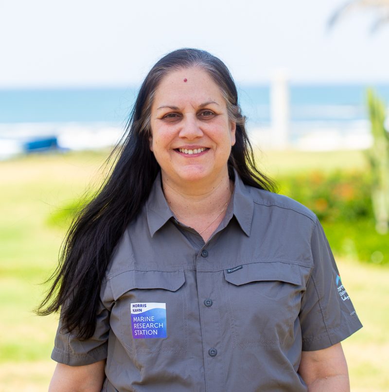 Dr. Yael Lampert