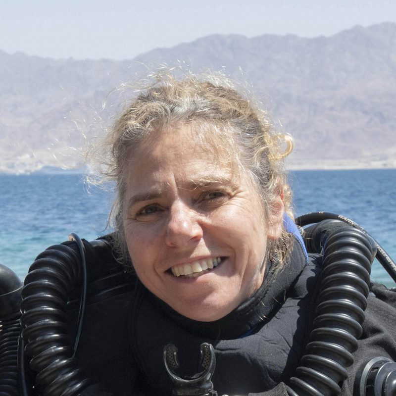 Prof. Tali Mass