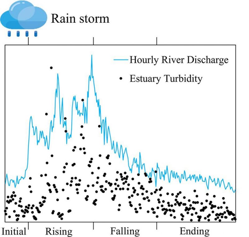 Simultaneous observations revealed the non-steady state effects of a tropical storm on the export of particles and inorganic nitrogen through a river-estuary continuum