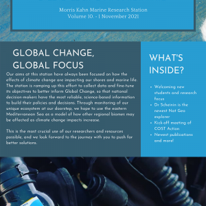 Newsletters