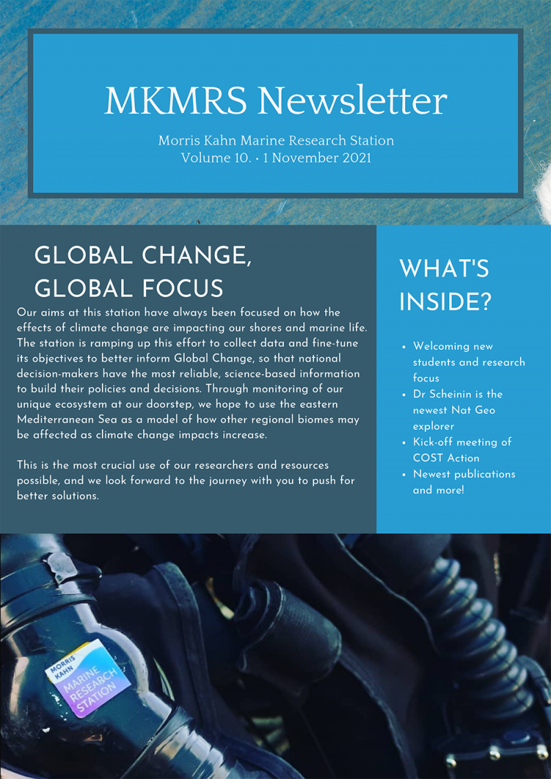 Newsletters
