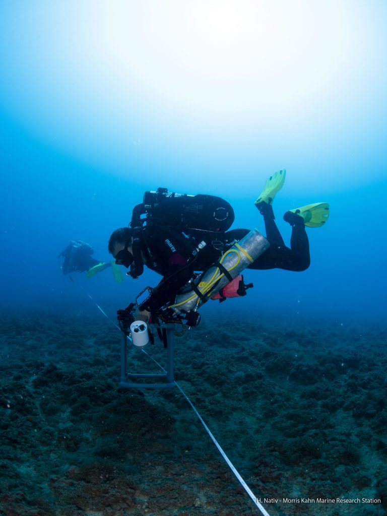 Transect line survey at the rocky reef