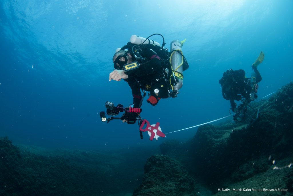 Survey marine invertebrate at the rocky reef