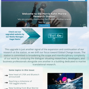 Newsletter 13