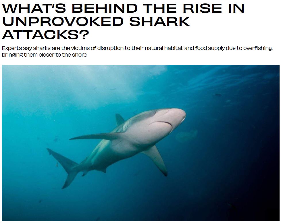 WHAT’S BEHIND THE RISE IN UNPROVOKED SHARK ATTACKS?