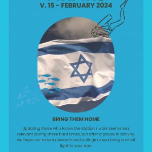 15th Newsletter