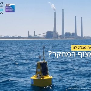 Live Wave Buoy!