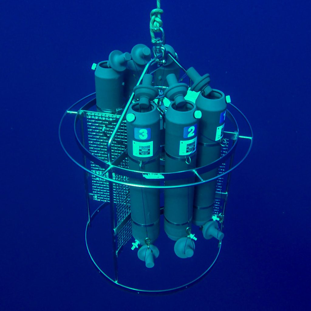 Marine biogeochemistry